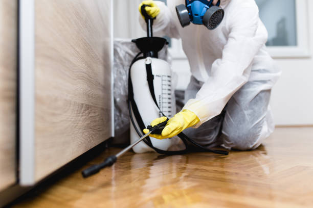 Best Commercial Pest Control Services  in Hoffman Estates, IL