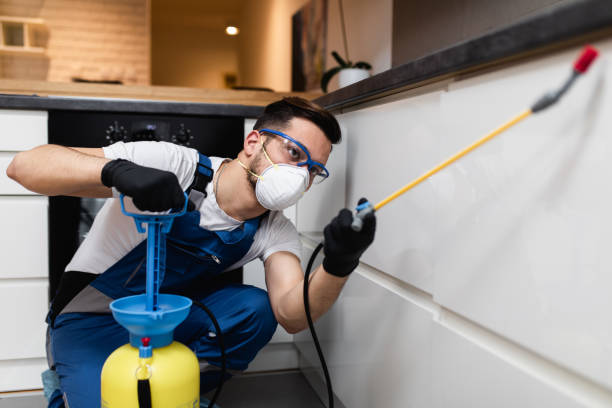Best Affordable Pest Control Services  in Hoffman Estates, IL
