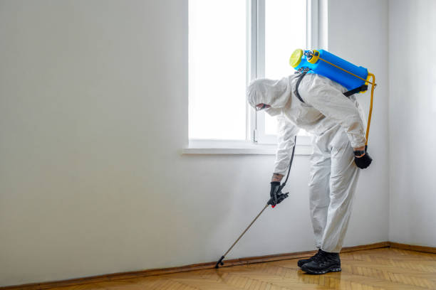 Best Best Pest Control Companies  in Hoffman Estates, IL
