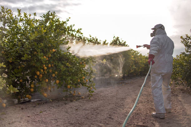 Best Cockroach Control Services  in Hoffman Estates, IL