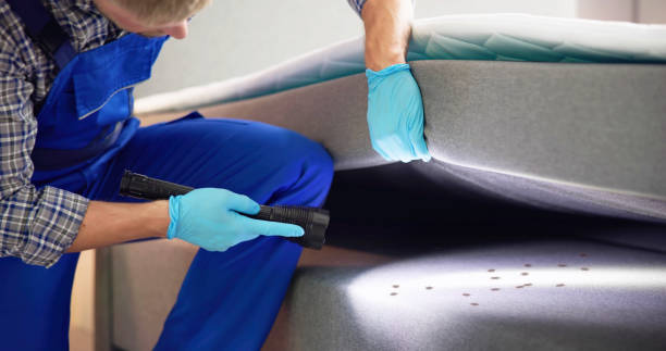 Best Rat Extermination Near Me  in Hoffman Estates, IL