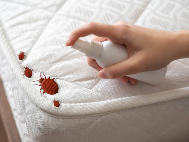 Best Pest Control Near Me in Hoffman Estates, IL