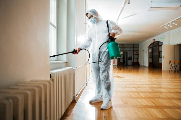 Best Local Pest Control Services  in Hoffman Estates, IL