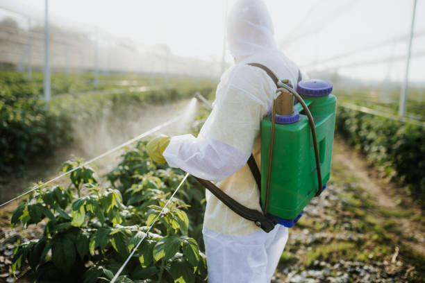 Flea Control Services in Hoffman Estates, IL